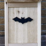 bat-boxfoto